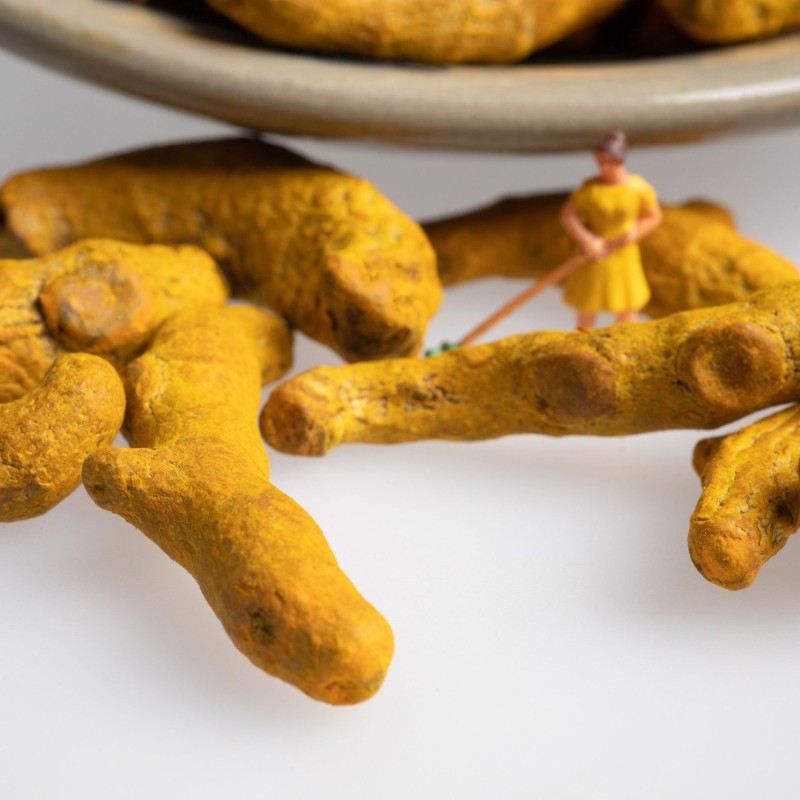 HUARAN Wholesale Supply High Quality Single Spices New Crop  Low Price  Extract  Dried Turmeric