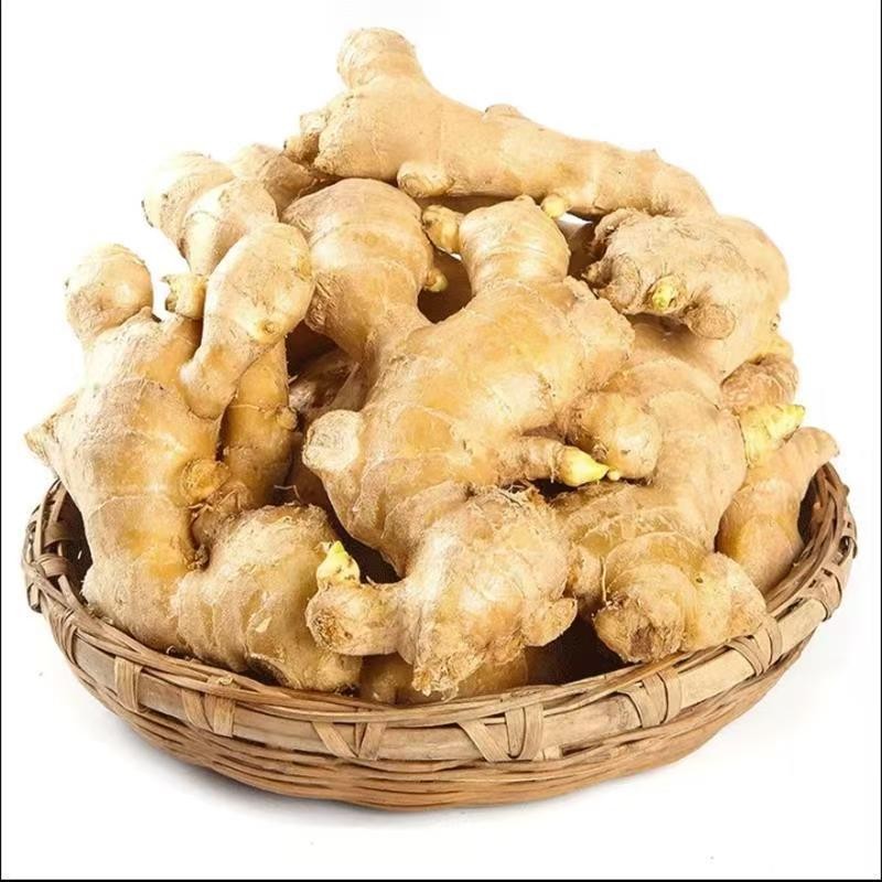 Ginger   Huaran Factory Offers Wholesale of Low-priced and High-quality New in Large Quantities.