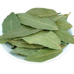 HUARAN Wholesale Single Spices and Herbs Bay Leaves High Quality  Laurel  Leaves Low Price Myrcia Natural  Bay Leaf