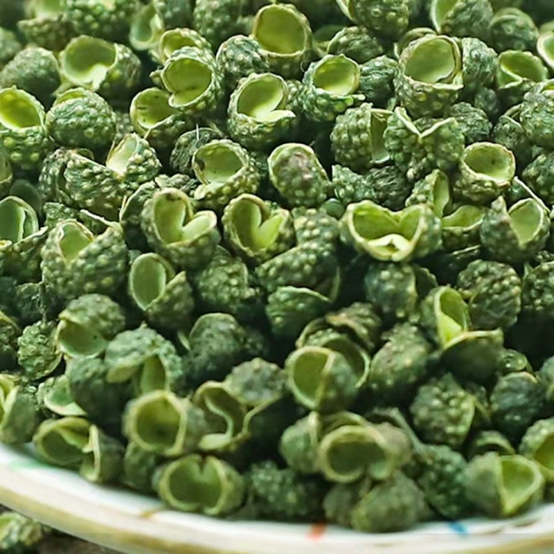 Wholesale Customized High Quality Green Sichuan Peppercorn Qing Hua Jiao Chinese Green Pepper