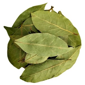 HUARAN Wholesale Condiment Seasoning Spices Bay Leaf High Quality  Low Price Dried Laurel Leaves Natural  Green  Bay Leaves