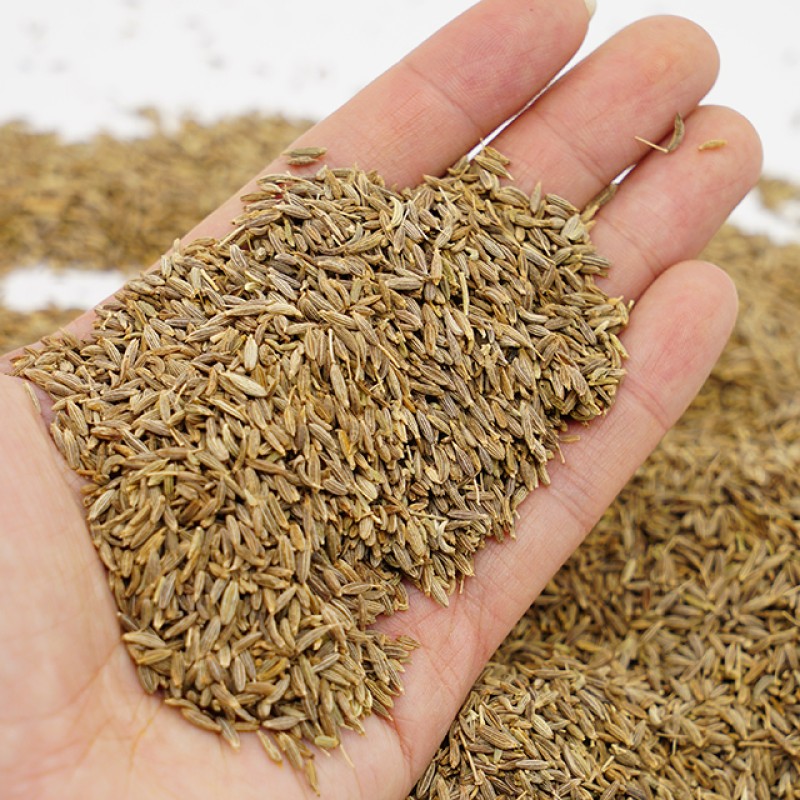 Factory Wholesale Customized Cooking Organic Cumin Seeds China Herbs and Spices Cumin and  Cumin Seeds