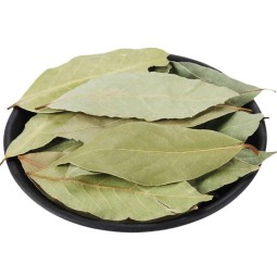 Natural New Dried Whole Laurel Leaf Wholesale Price for Spice Export Dried Laurel Leaves Bay Leaf