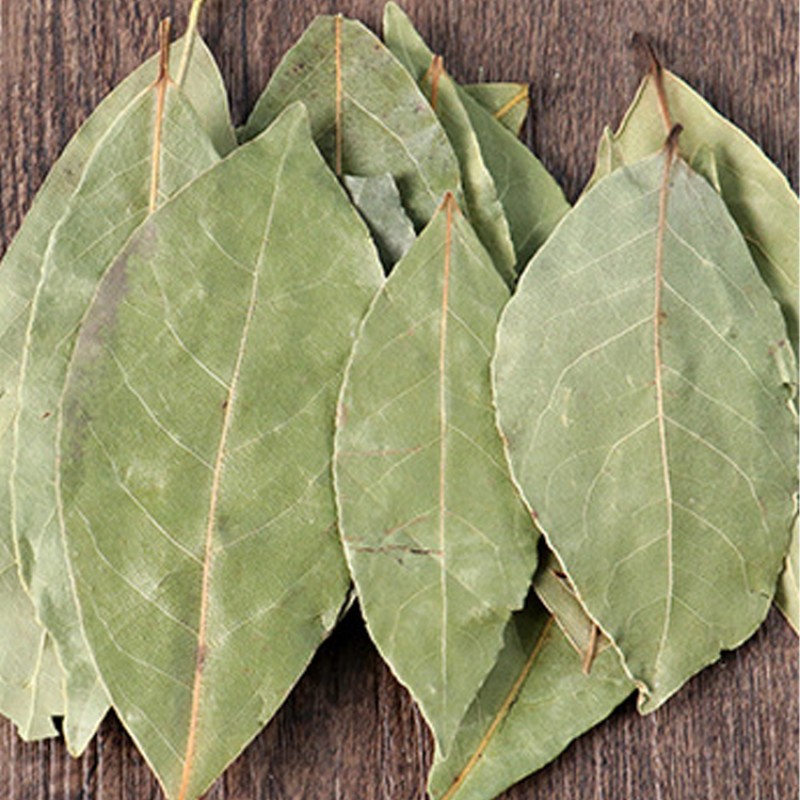 High Quality Wholesale Bay Leaves Factory Wholesale Supply  Natural Spices Dried  Laurel Leaf