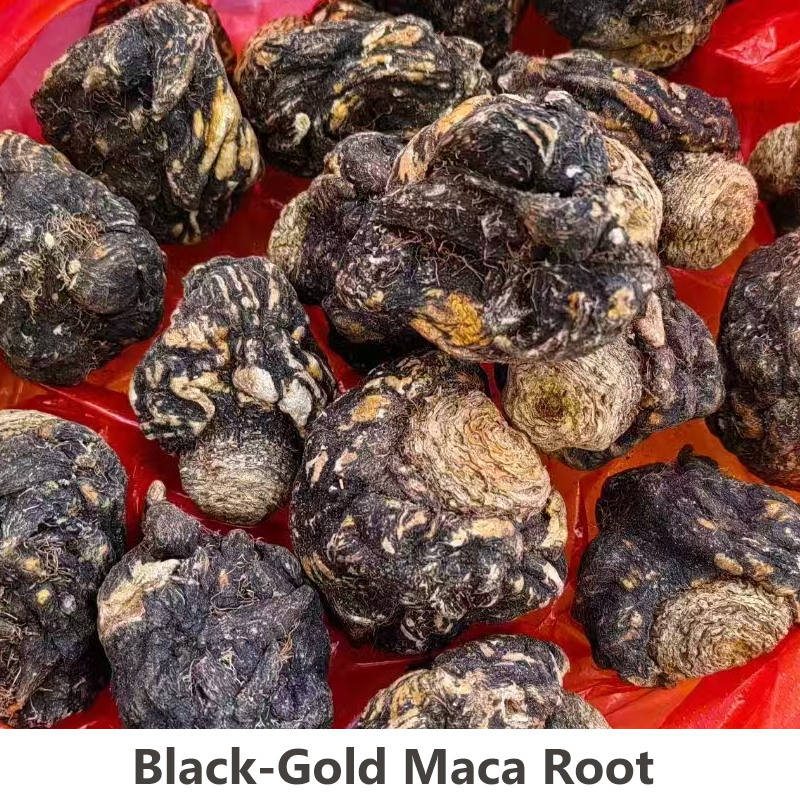 Wholesale Maca Root Extract Black Maca High Quality Pure  Powder Dried Black Maca Herbal Tea