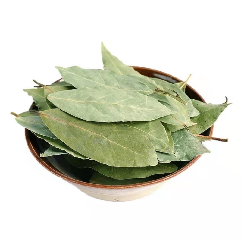 Factory Wholesale Spices Bay Leaves Production Dried Bay Leaf Georgia Laurel Leaves