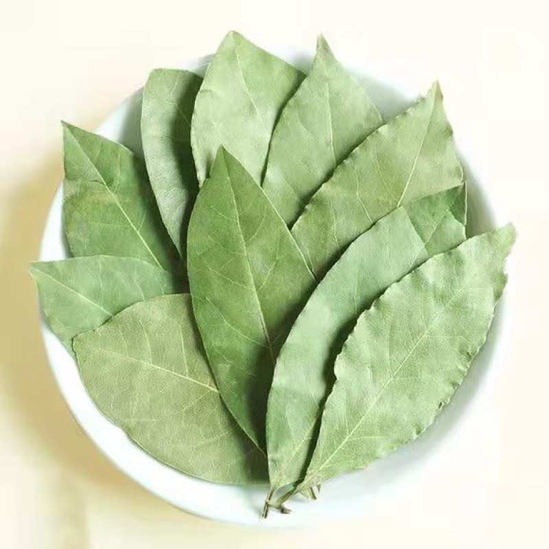 Bay Leaf Export Wholesale Price High Quality Green Color Bay Leave