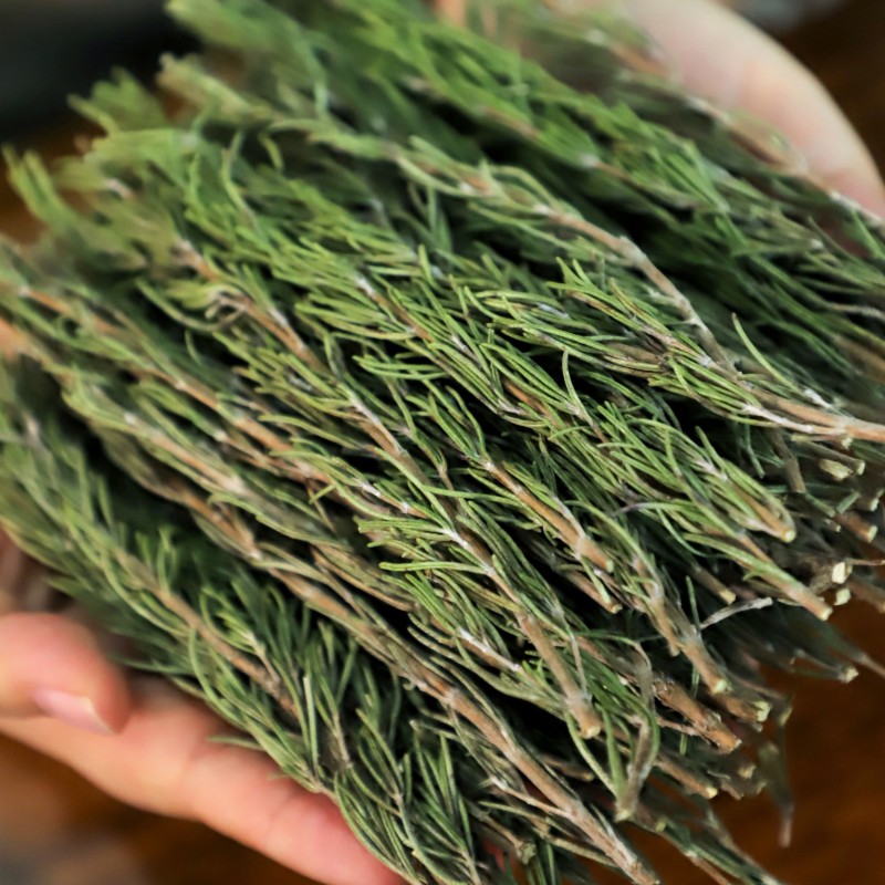 Dried Rosemary Wholesale Spices Strip Rosemary Chinese Premium Natural Dry Herbs Rosemary Leaves Factory Price