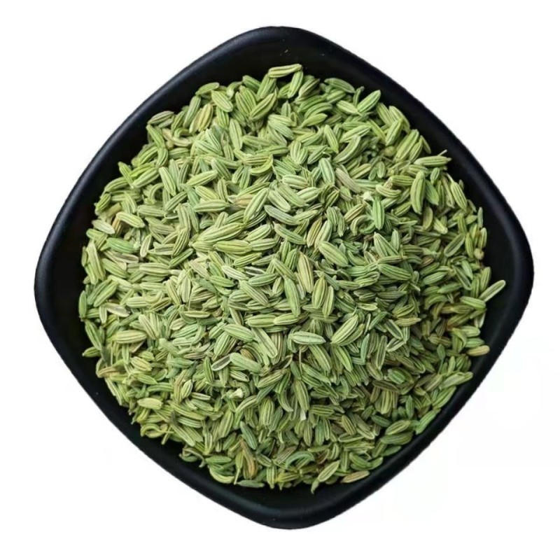 Factory Whole Spices Supplier Wholesale Price High Quality Green Fennel Seeds