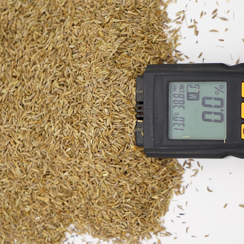 Factory Price Natural Cumin Seeds New Crop Dried Cumin Single Herbs and Spices Cumin Seeds