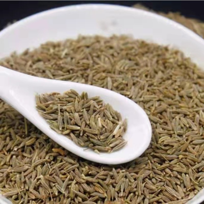 Wholesale New High Quality India Cumin Seeds