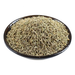 High Quality Single Spice Herb Cumin Long-Term Large-Scale Supply Wholesale From Trusted Supplier