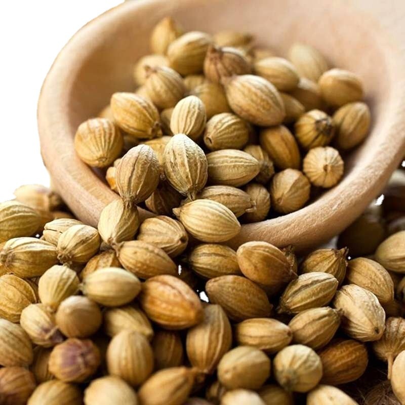 Wholesale Spices Natural Pure  Dried Seasoning Coriander Seeds