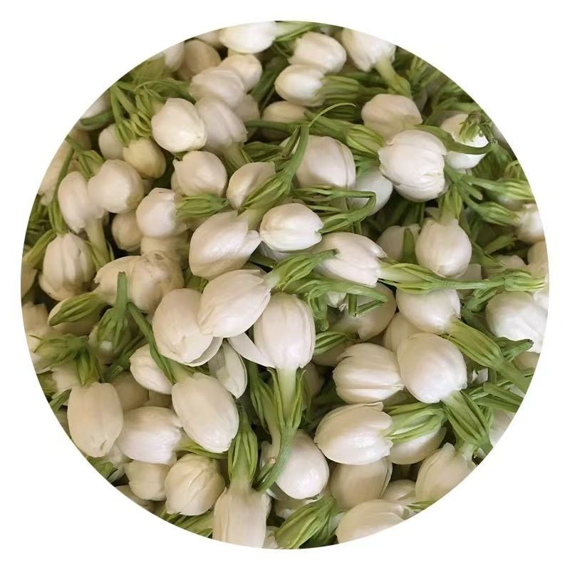 Huaran Produces Jasmine Tea Handpicked Naturally Dried Direct From the Manufacturer Wholesale Prices