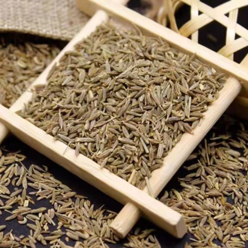 Wholesale New High Quality India Cumin Seeds