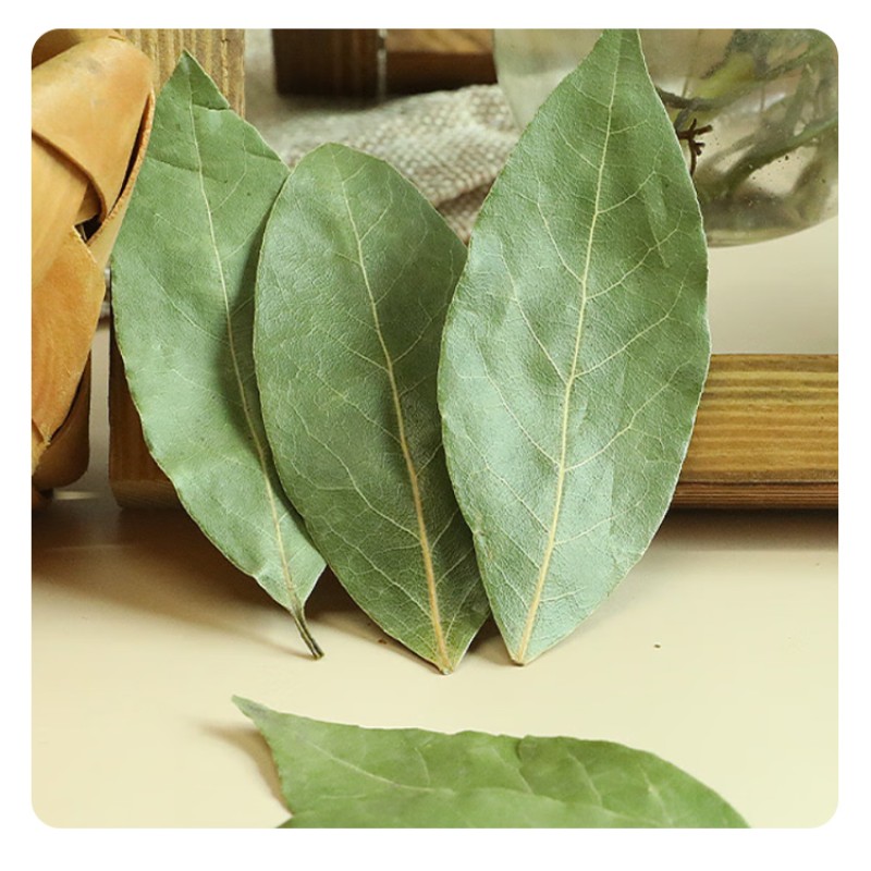 High-Quality Bulk Wholesale Bay Leaves Spices for Long-Term Supply