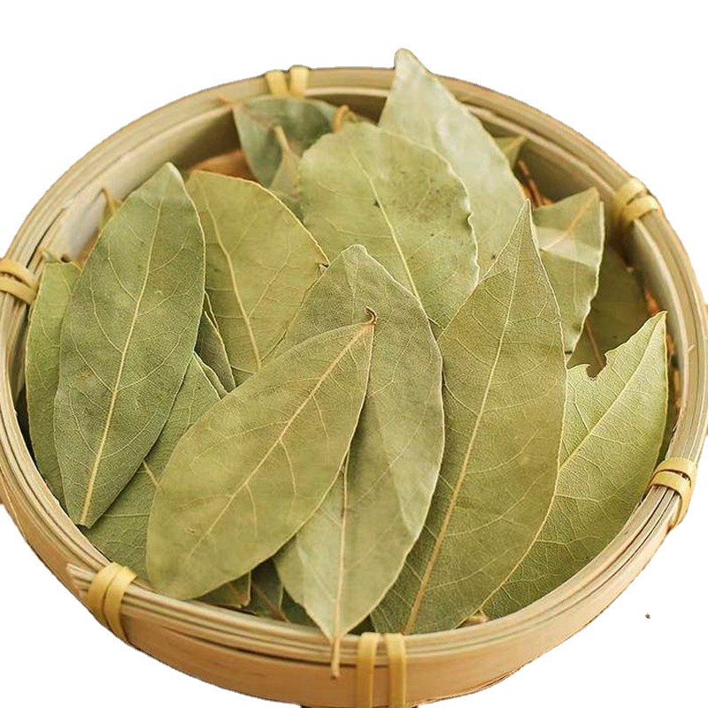 Laurel Leaf  Factory Wholesale Supply High Quality Natural Spices Dried Bay Leaf