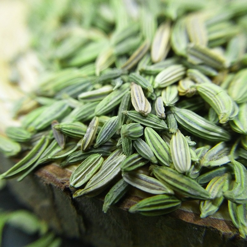 Factory Wholesale Customized Natural Spices Fennel Seeds Price Spices Seed