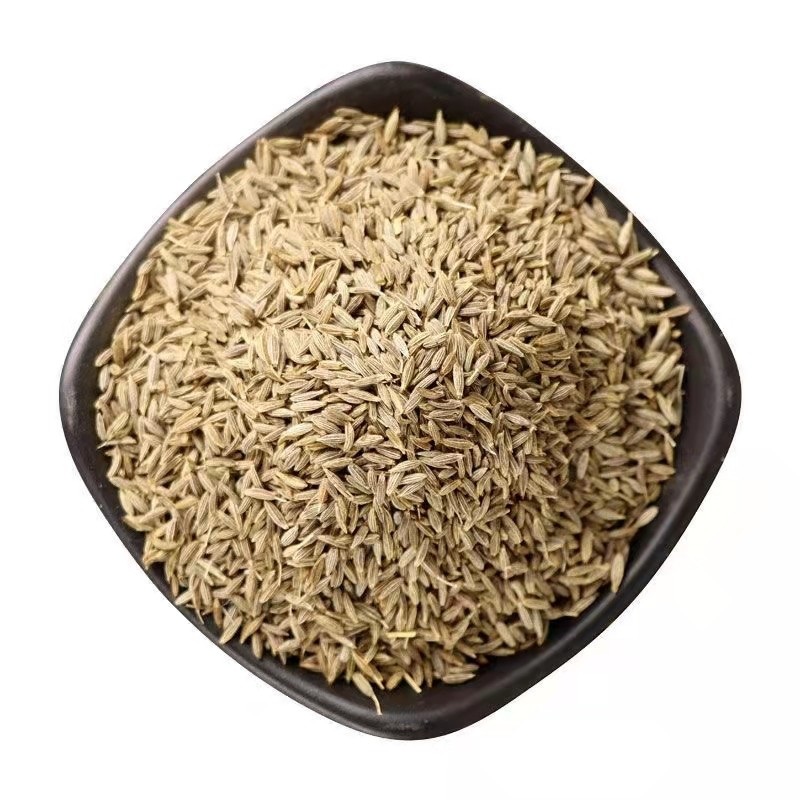 Wholesale New High Quality India Cumin Seeds