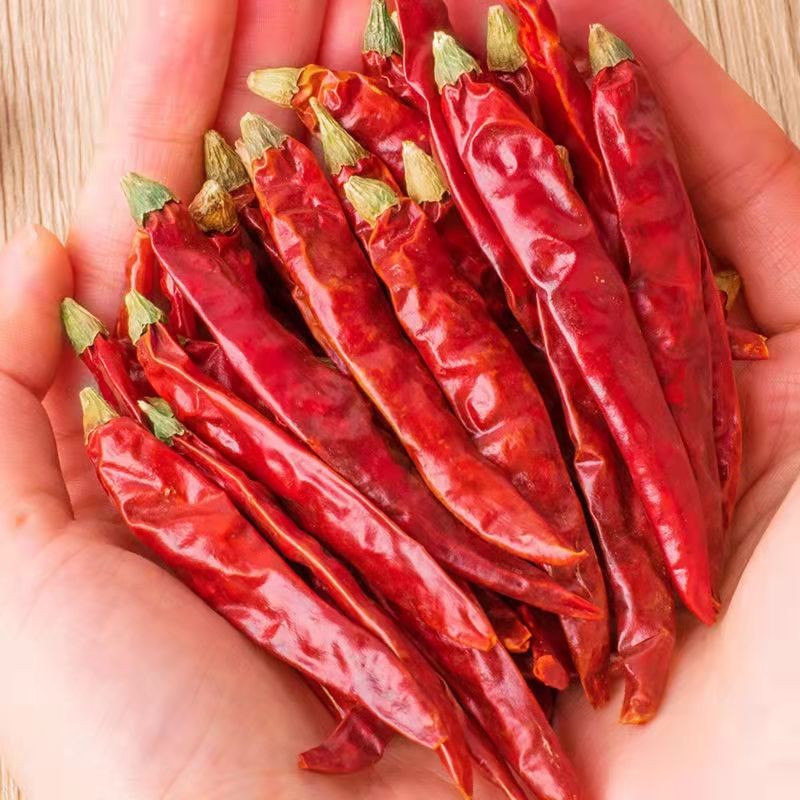 Factory Spice Supplier Wholesale Dried Red Chili Pepper Dried Chilies Dry Red Chilli Pepper