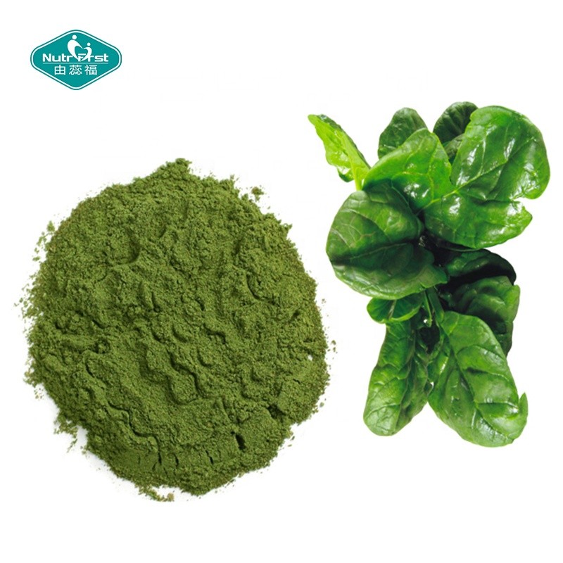 Spinach Powder Supplier - Freeze Dried Herbal Extract Water Soluble