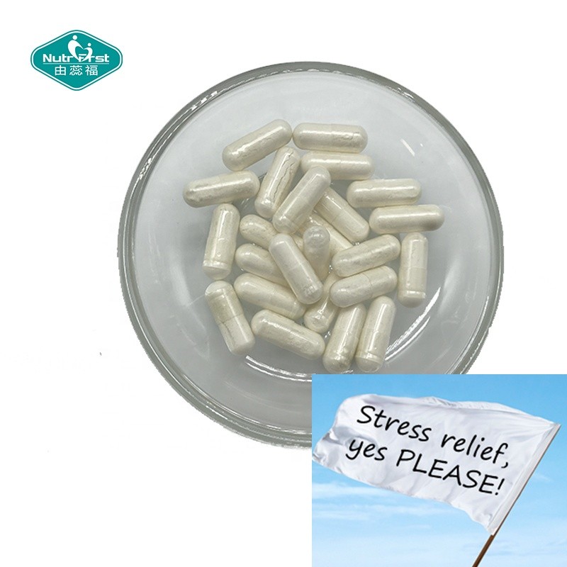 Brain Support Capsules Factory - Mushroom Vitamin B6 L Theanine Nootropic