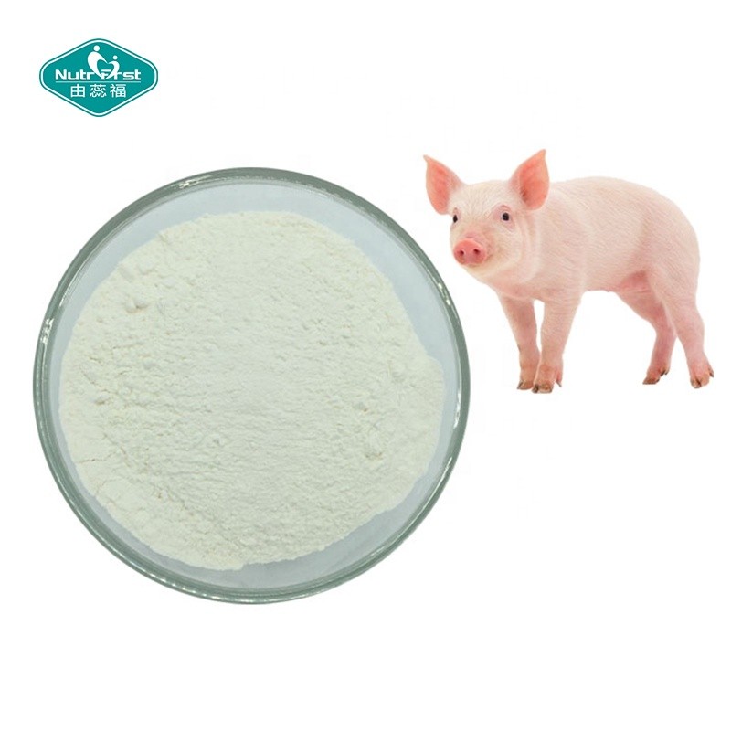 Chondroitin Sulfate Powder Manufacturer - Joint Support Bovine Porcine