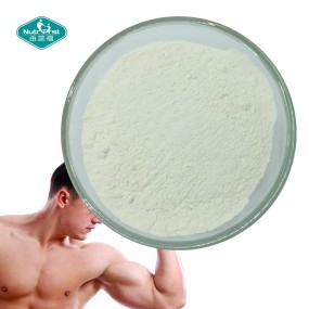 BCAA Powder Supplier - Branched Chain Amino Sport Nutrition