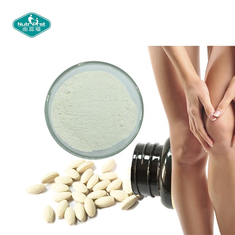 Chondroitin Sulfate Powder Manufacturer - Joint Support Bovine Porcine