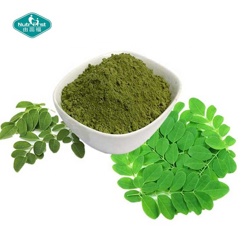 Moringa Extract Powder Manufacturer - Organic Leaf Extract Bulk