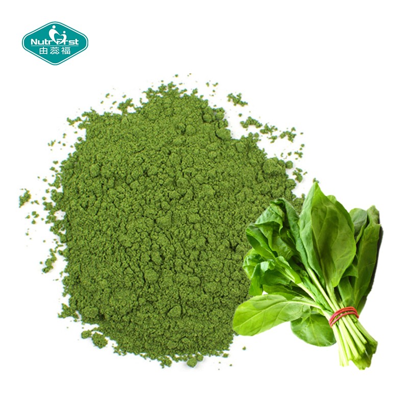 Spinach Powder Supplier - Freeze Dried Herbal Extract Water Soluble