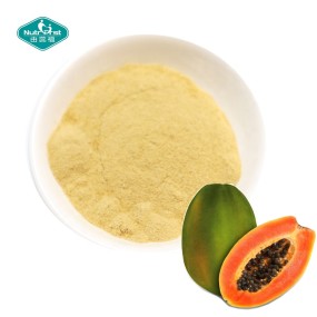 Papain Powder Supplier - 100% Herbal Enzyme Papaya Extract