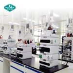 Fruit & Vegetable Powder