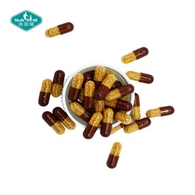 L-Arginine Capsules Manufacturer - Time Release Methionine Zinc Beadlets