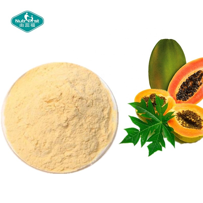 Papain Powder Supplier - 100% Herbal Enzyme Papaya Extract