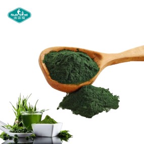 Chlorella Premix Supplier - Spirulina Multivitamins Minerals Blend