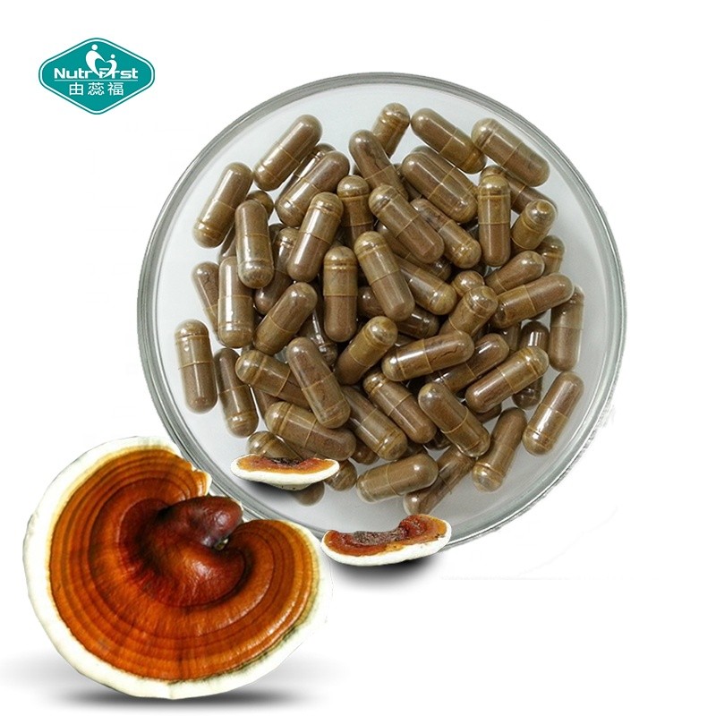 Cordyceps Capsules Factory - Custom Reishi Mushroom Extract Blend