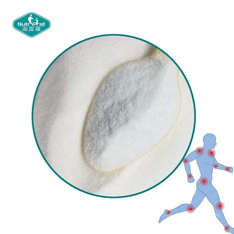 Glucosamine Powder Factory - Vegan HCL Raw Material Supplement
