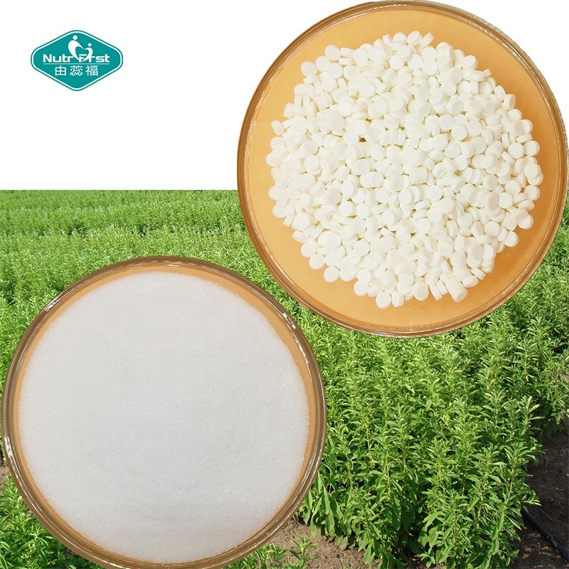 Stevia Tablets Factory - Sugar Free Sweetener Leaf Supplement