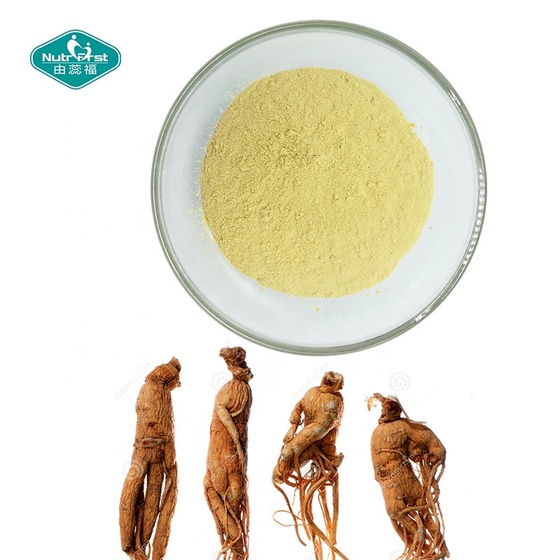 Ginseng Extract Powder Factory - Panax Root Extract Supplement
