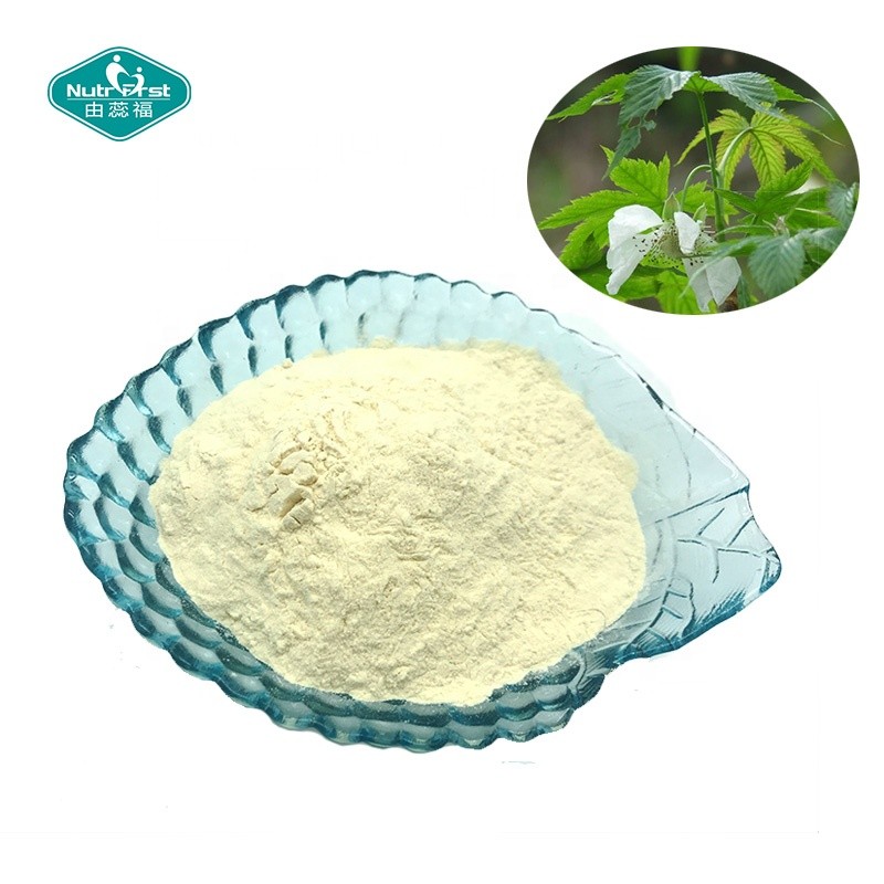 Sweet Tea Extract Factory - 70% Rubusoside Food Additive Powder