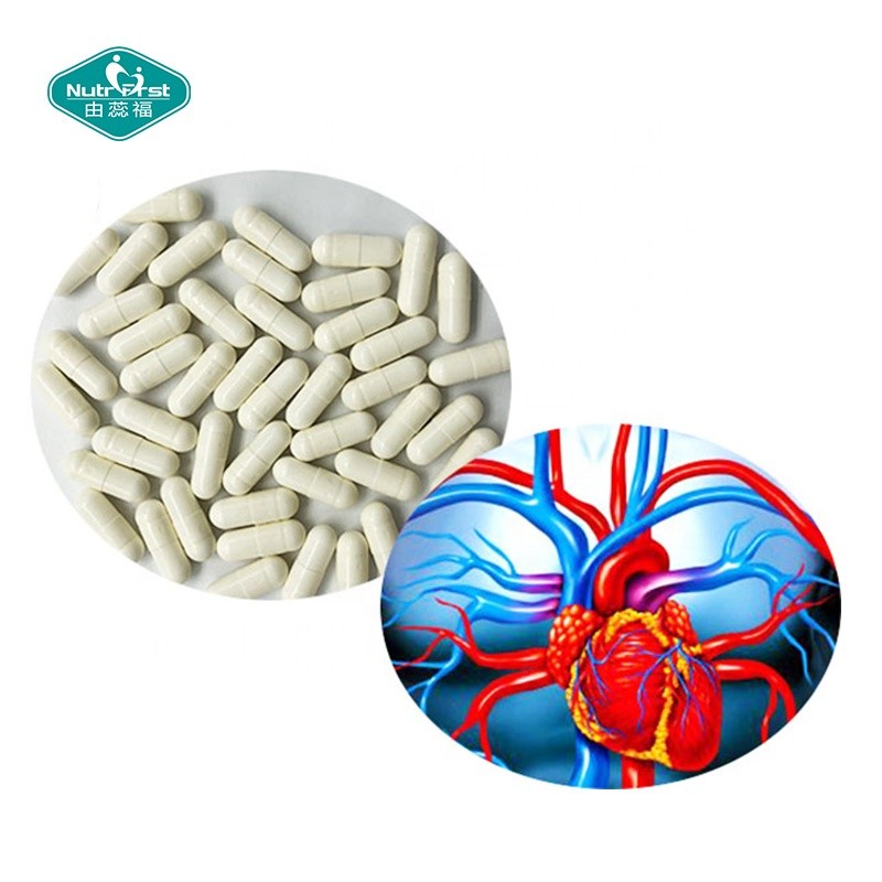 Nattokinase Capsules Supplier - Organic Natto Extract Herbal Supplement