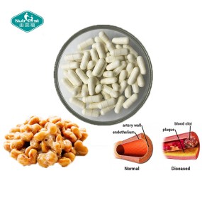 Nattokinase Capsules Supplier - Organic Natto Extract Herbal Supplement
