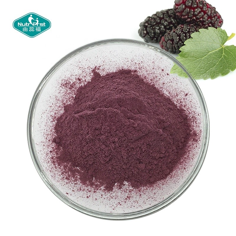 Mulberry Powder Manufacturer - 100% Juice Concentrate Freeze Dried