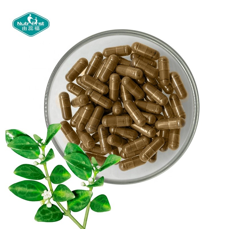 Gymnema Capsules Manufacturer - Organic Vegan Ceylon Cinnamon Extract