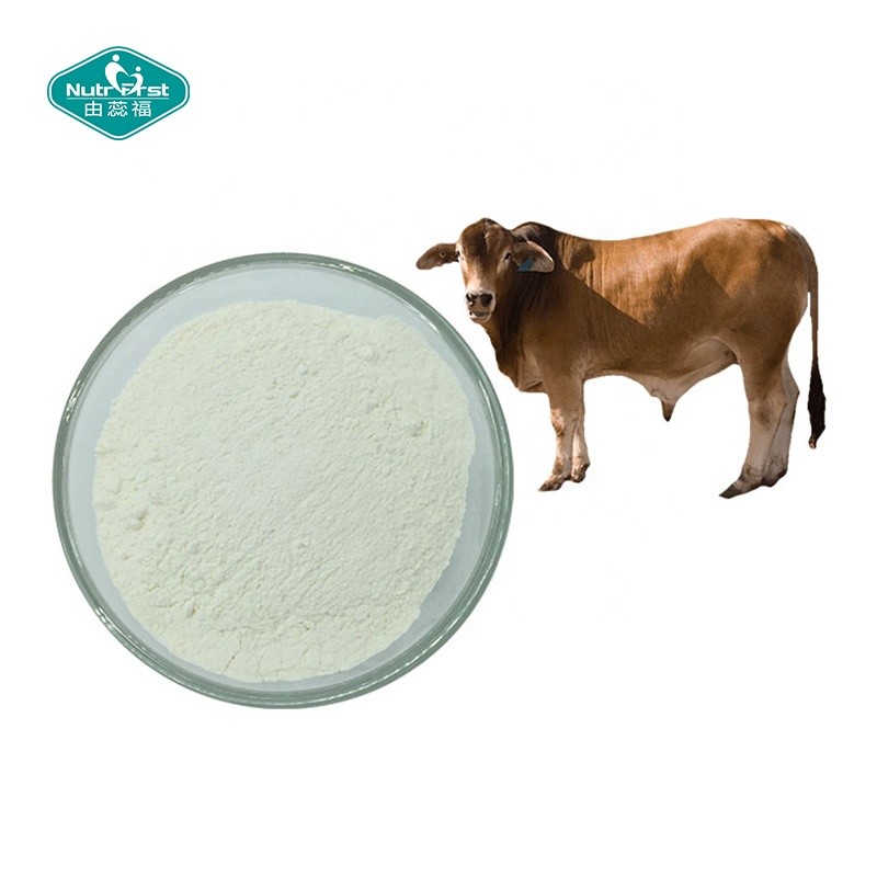 Chondroitin Sulfate Powder Factory - Sodium CAS 9082-07-9 Raw