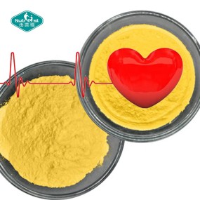 CoQ10 Powder Supplier - 98% Ubiquinol Coenzyme Q10 Raw Material