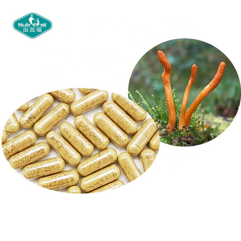 Male Supplements Capsules Supplier - OEM Ginseng Cordyceps Sinensis