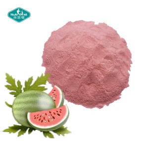Watermelon Powder Supplier - Spray Dried Instant Drink Custom