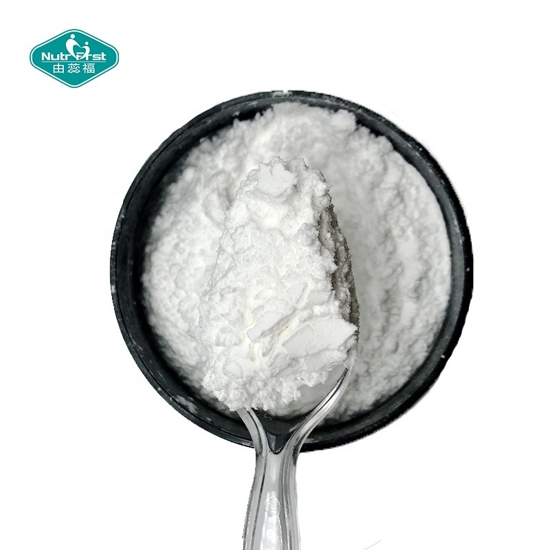 Glutamine Powder Factory - 99% USP Food Grade L-Glutamine Bulk